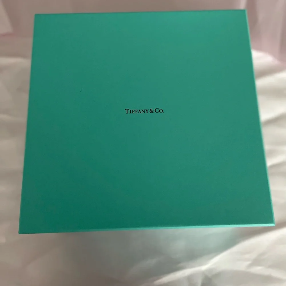 Authentic Tiffany& Co. High Jewelry Necklace Box- Brand New